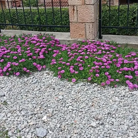 Villa Karolina Guest house