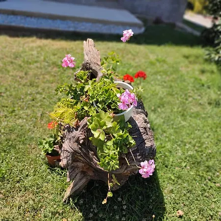 Villa Karolina Ohrid